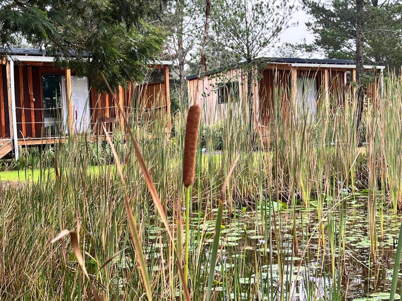 Forest Gate Resort Plettenberg Bay Exterior photo